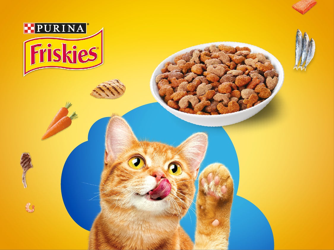 Ask for a Friskies Sample Purina